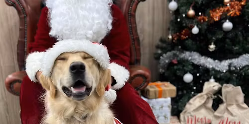 NOW FULLY BOOKED - Santa Paws - Abergele \ud83c\udf84