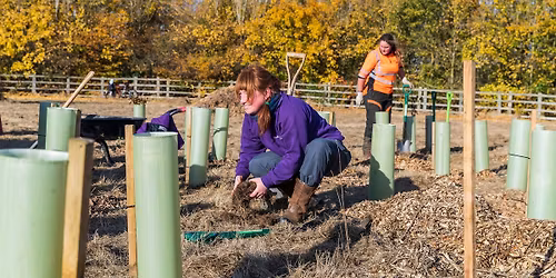 Community Volunteering: Tree Planting