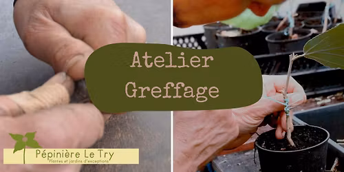 Atelier greffage