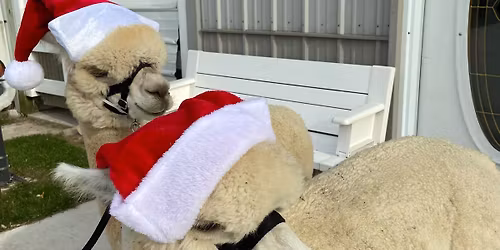 Holiday Open House 6