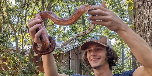 Wildlife Encounters w\/ the Tallahassee Museum - FREE