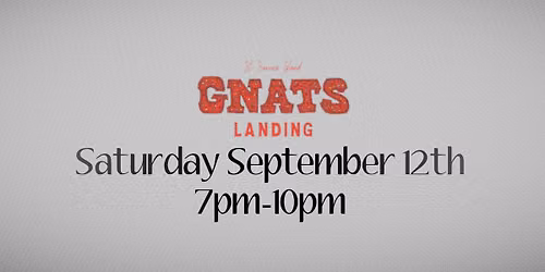Idle Hands - Gnats 