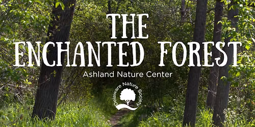 The Enchanted Forest ~ Ashland Nature Center