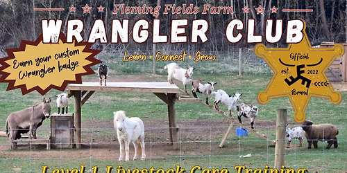 Wrangler Club - Level 1