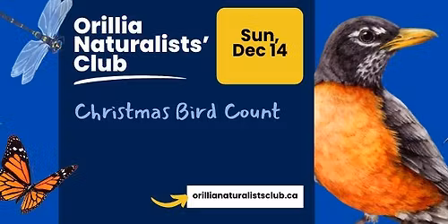 Christmas Bird Count