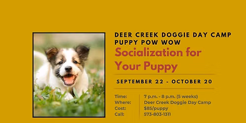 Puppy Pow Wow - Socialization for Your Puppy