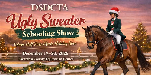 DSDCTA Ugly Sweater Schooling Show