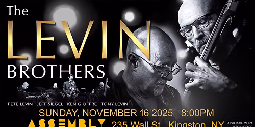 The Levin Brothers @ Assembly, Kingston