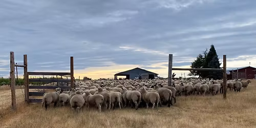 DCLA Spring Livestock Conference 