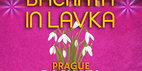 Bachata Dominant party in Lavka: Welcome Spring \ud83c\udf38