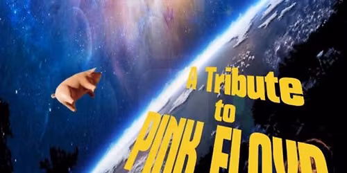 Pulse live at Neil's Music Room Nov 8, 2025