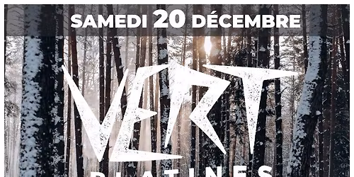 \ud83c\udf84\ud83d\udd0a VERT PLATINES \u2013 2\u1d49 \u00c9DITION