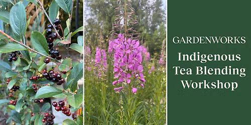Indigenous Tea Blending Workshop at GARDENWORKS North Shore