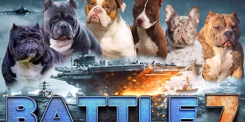 Brcg's Battle Of The Bull \ud83d\udc02 Breeds 7