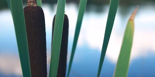 Dice Themed Game Event: Game Master Series - Monthly Meet-up