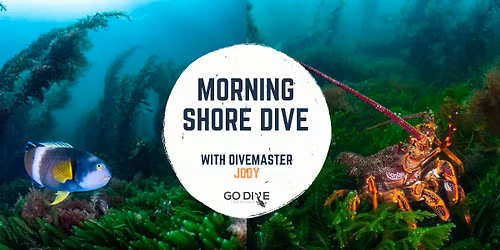 Morning Shore Dive, Blackmans Bay North - With Divemaster Jody
