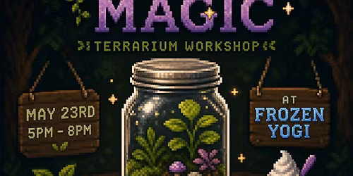 \u2728\ud83c\udf3f Moss & Magic Terrarium Building \ud83c\udf3f\u2728