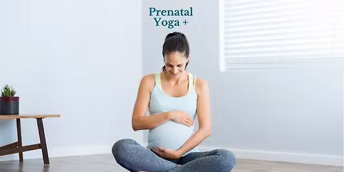Prenatal Slow Flow & Social  with Laura M.