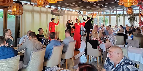 NOCHES DE FLAMENCO EN VIVO\/LIVE FLAMENCO NIGHTS