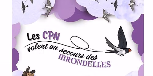 Les CPN volent au secours des hirondelles