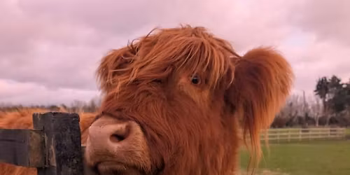 Networking at Southbourne Farm Shop