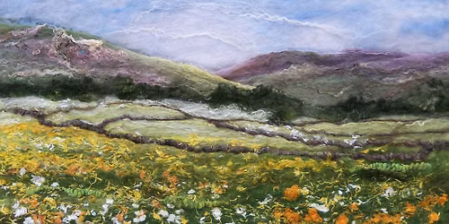 Celebrating Summer- Meadows, walls, hedges and edges.