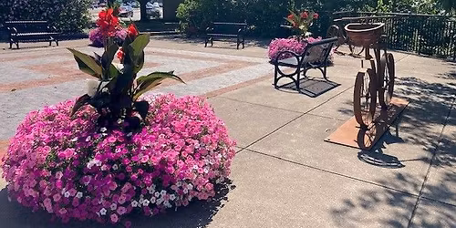 Downtown Auburn Flower Power Plant