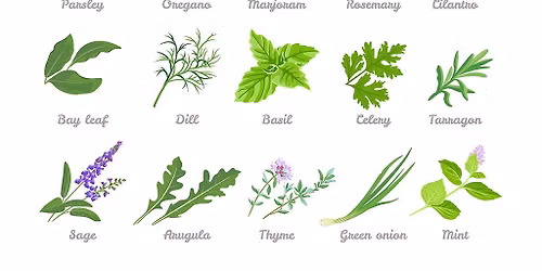 Growing and Cooking with Herbs\u2014Lunch and Learn