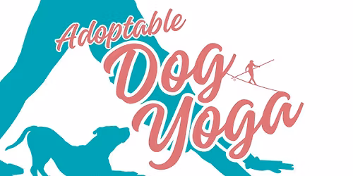 Adoptable Dog Yoga
