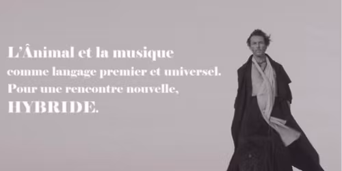 Le centaure Illumine Marseille 