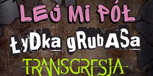 OPEN BEER FESTIWAL: \u0141ydka Grubasa, Lej Mi P\u00f3\u0142, Transgresja