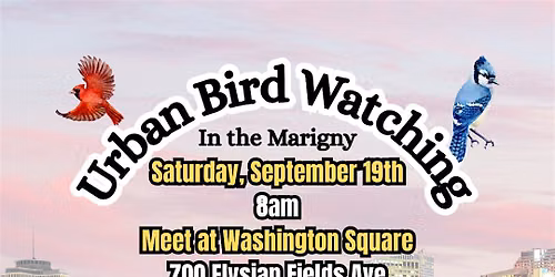 Urban Bird Watching in the Marigny-9\/19