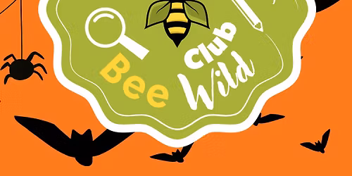 Bee Wild Club - Half Term | Clwb Gwenyn Gwyllt
