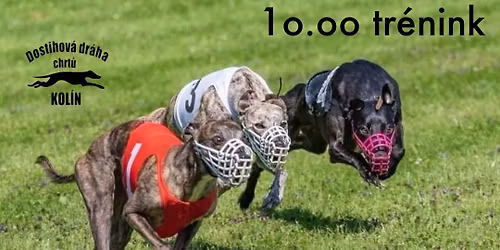 Tr\u00e9nink s pln\u011bn\u00edm licenc\u00ed