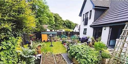 Discover Urban Homesteading:Lessons from a Hopeful, Busy Pseudo-Homesteader