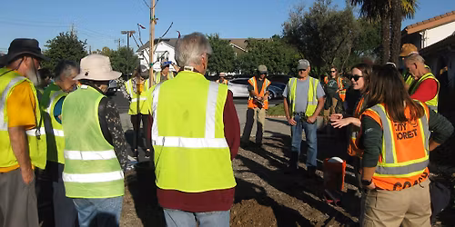 Community Planting on Senter Road with Our City Forest