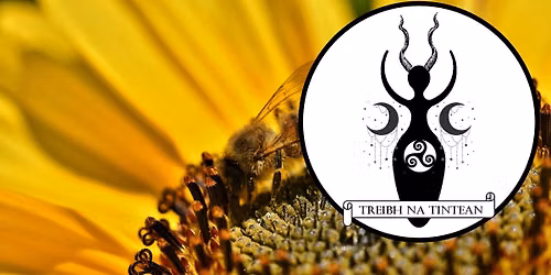 Litha (Summer Solstice) Ritual w\/ Treibh na Tintean
