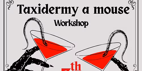 Sip & Skin: Taxidermy A Mouse Workshop