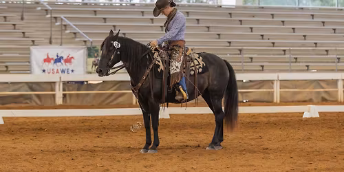 Working Equitation\/Dressage Ride-a-Level