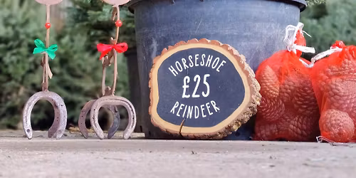 Christmas at Stubbs Copse!