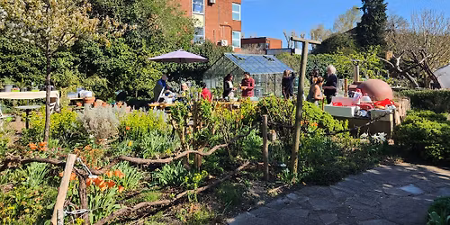 Salopian Kitchen Gardens Volunteering Session
