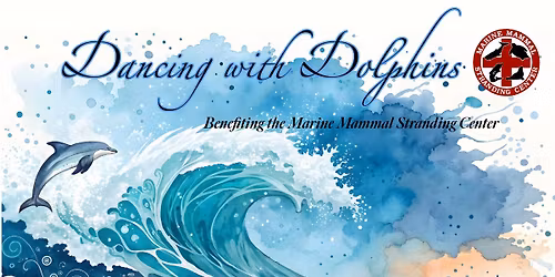 Dancing with Dolphins