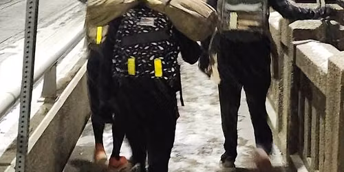 Fear The Frost (5th Annual)