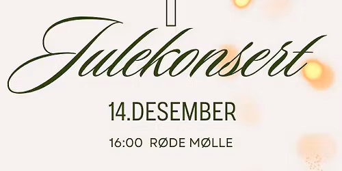 Julekonsert p\u00e5 3:16