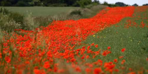 Remembrance Sunday Service at St Johns