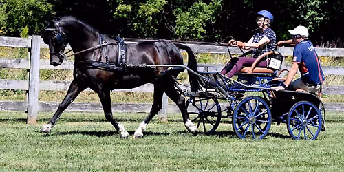 USEF Emerging Drivers Clinic with Jacob Arnold