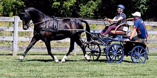 USEF Emerging Drivers Clinic with Jacob Arnold