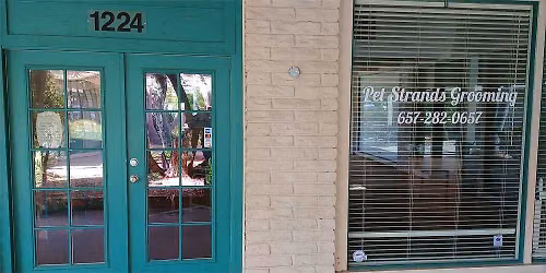 City of Orange - Dog dental cleaning