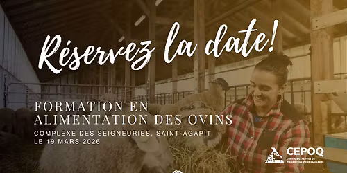 Formation en alimentation des ovins