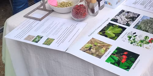 Journ\u00e9e de l'Herboriste \u00e0 Orval - 4e \u00e9dition